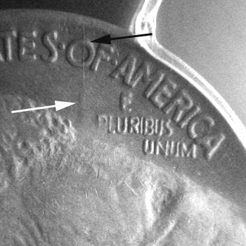 1919P-Buffalo-Nickel---Fourth-Feather?
